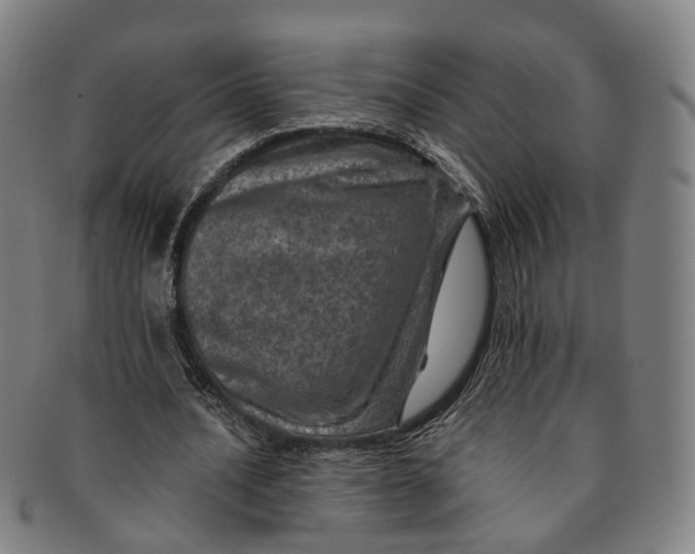 X0000091010628200708241513