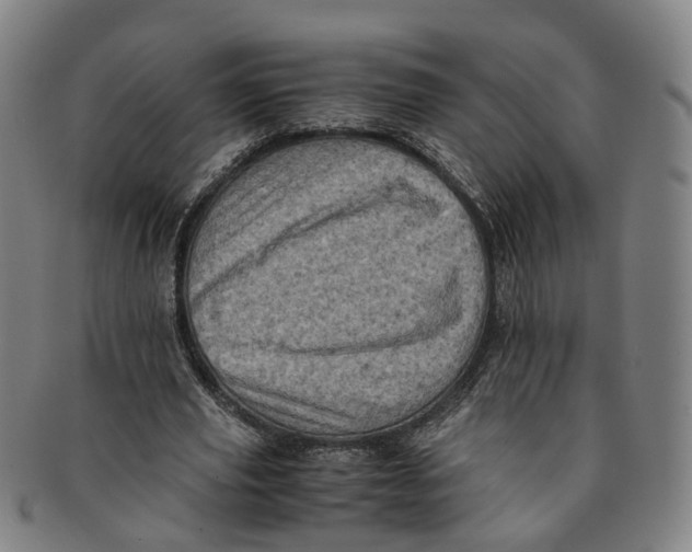 X0000091010629200708241513