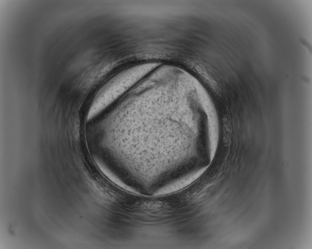 X0000091010631200708241513