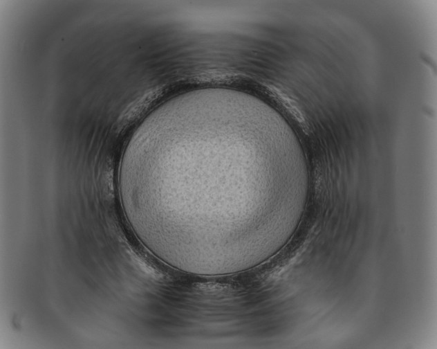 X0000091010633200708241513