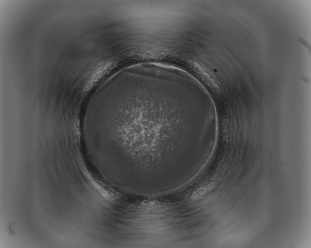 X0000091010634200708241513