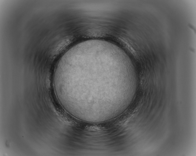 X0000091010635200708241513