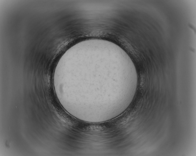 X0000091010636200708241513