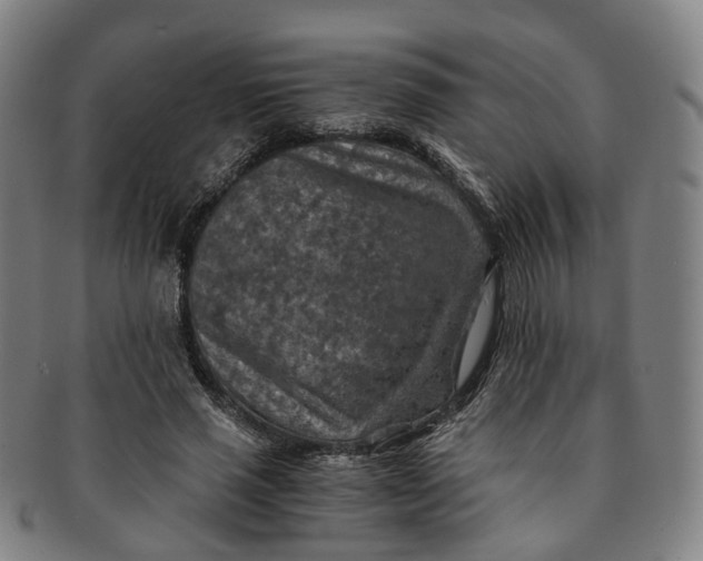 X0000091010637200708241513