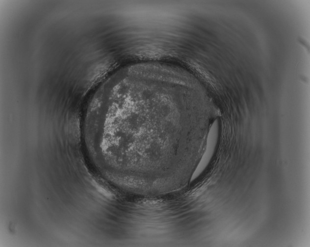 X0000091010638200708241513