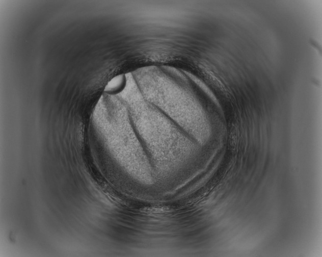 X0000091010639200708241513