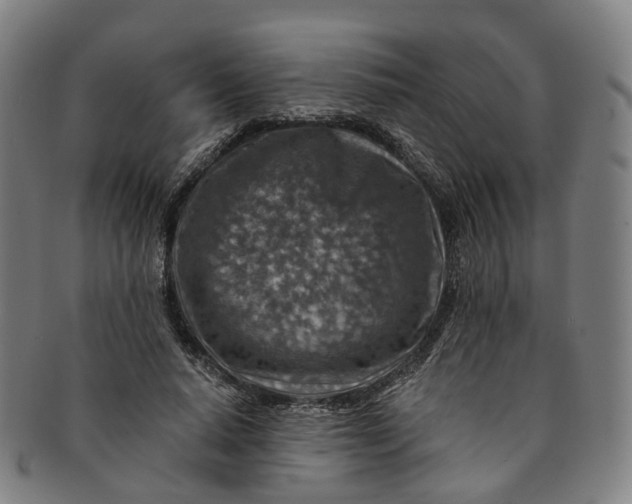 X0000091010640200708241513