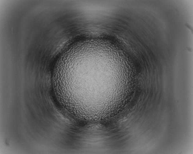 X0000091010642200708241513