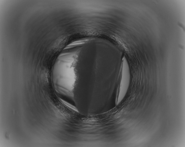 X0000091010643200708241513