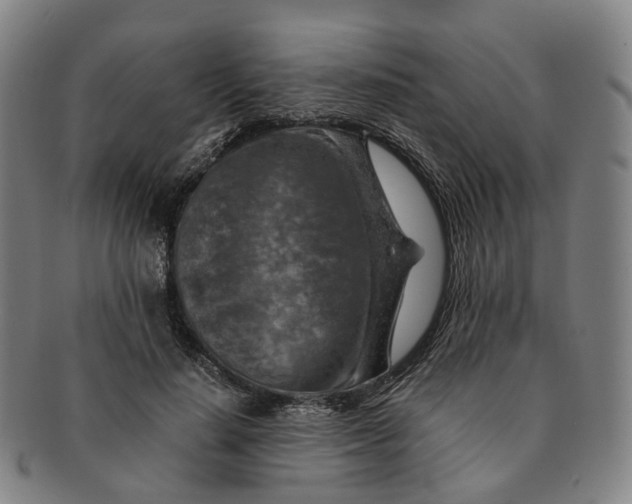 X0000091010644200708241513