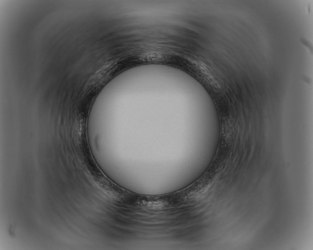 X0000091010645200708241513