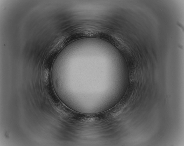 X0000091010646200708241513