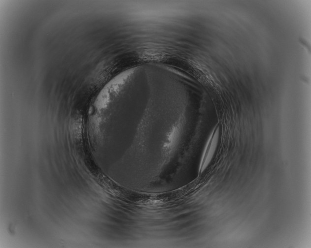 X0000091010647200708241513