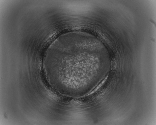 X0000091010648200708241513