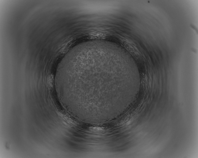 X0000091010649200708241513