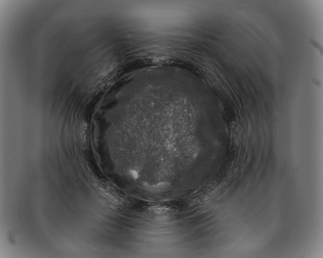 X0000091010650200708241513