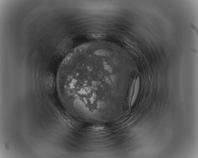 X0000091010651200708241513