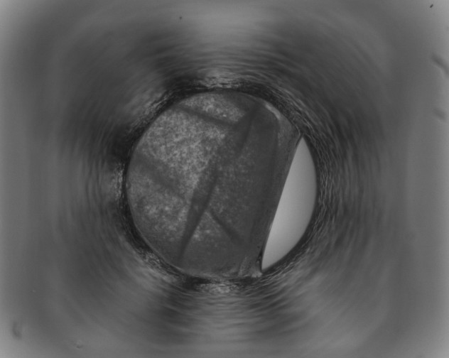 X0000091010652200708241513