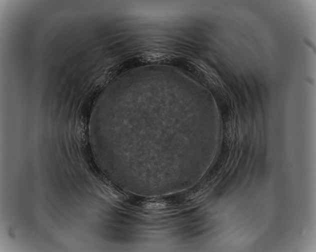 X0000091010653200708241513