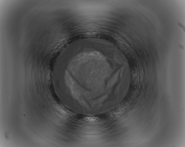 X0000091010654200708241513