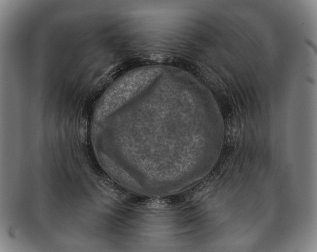 X0000091010656200708241513