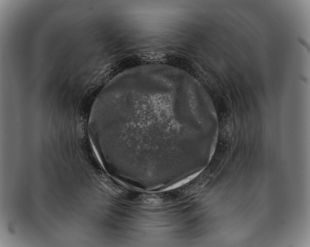 X0000091010658200708241513