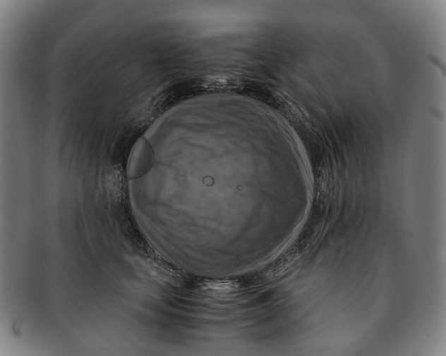 X0000091010659200708241513