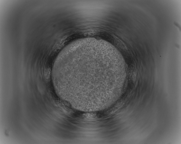 X0000091010660200708241513