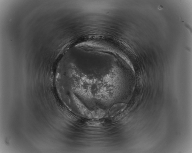 X0000091010661200708241513