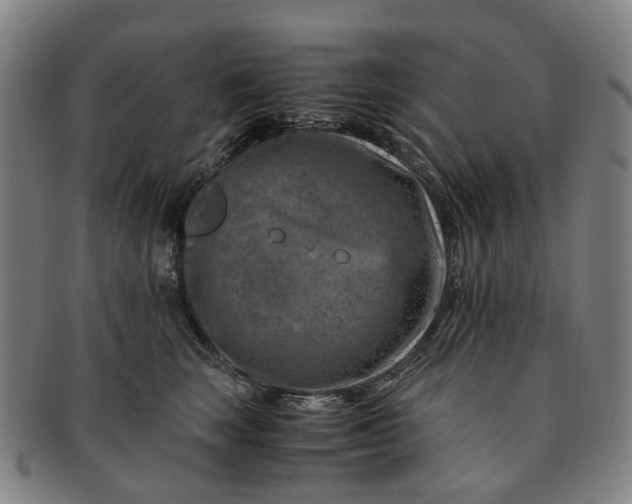 X0000091010663200708241513