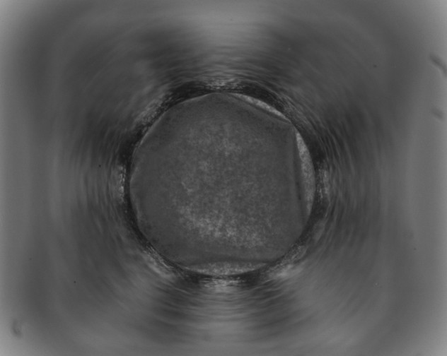 X0000091010664200708241513