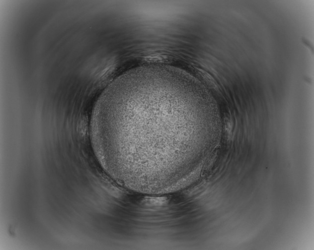 X0000091010665200708241513