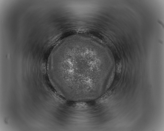 X0000091010666200708241513