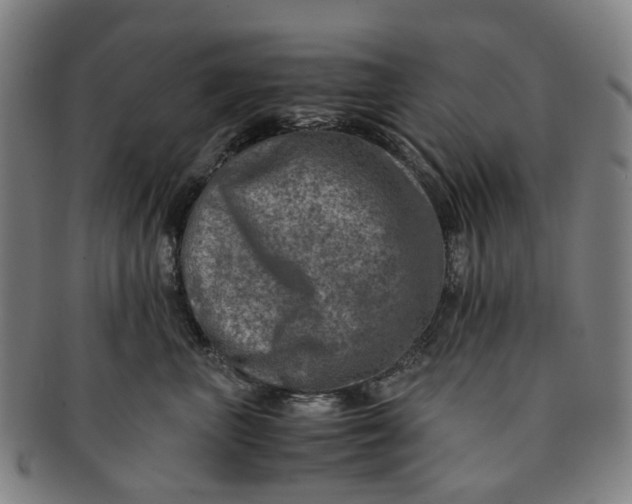 X0000091010667200708241513