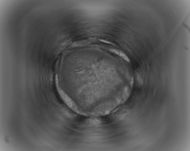 X0000091010668200708241513