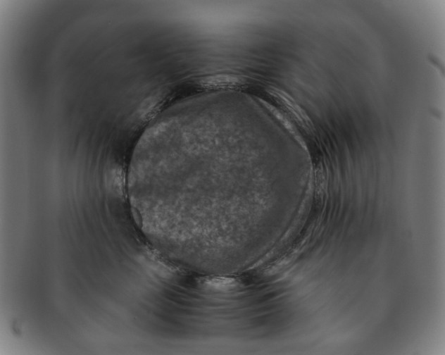 X0000091010669200708241513