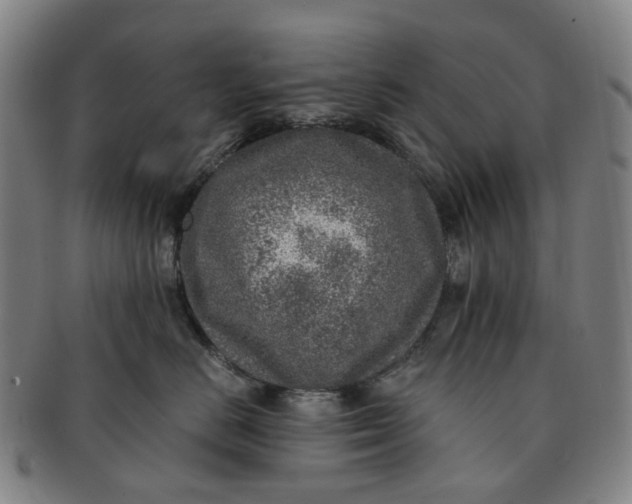 X0000091010670200708241513