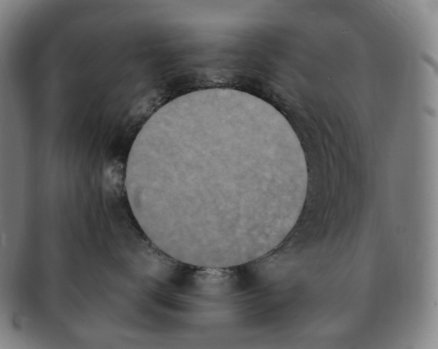 X0000091010672200708241513