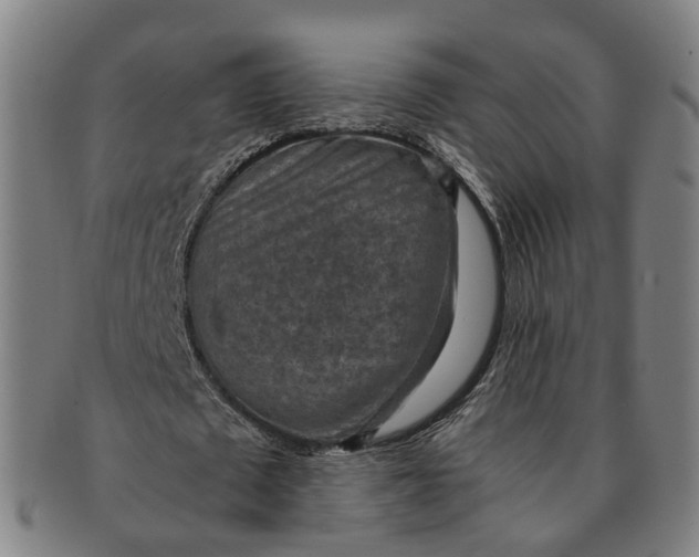 X0000091010673200708241513