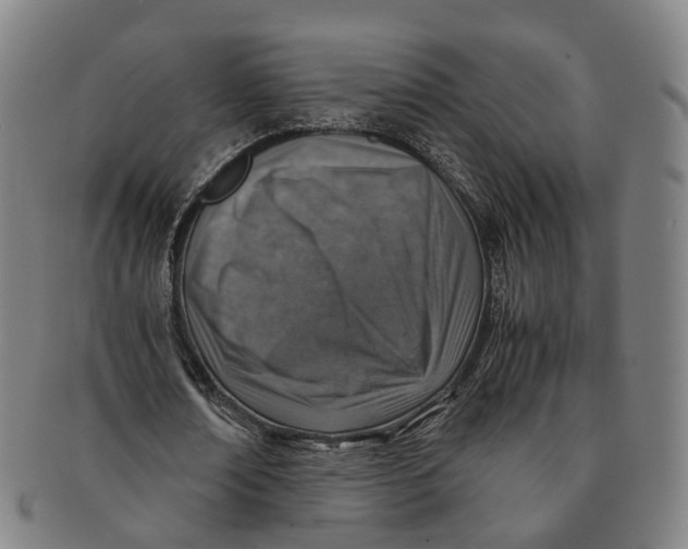 X0000091010674200708241513