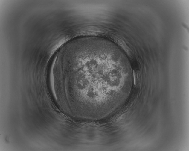 X0000091010675200708241512