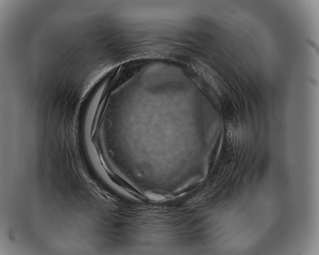 X0000091010676200708241512