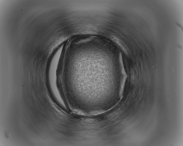 X0000091010677200708241512