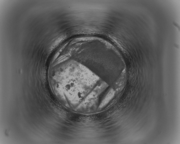 X0000091010679200708241512