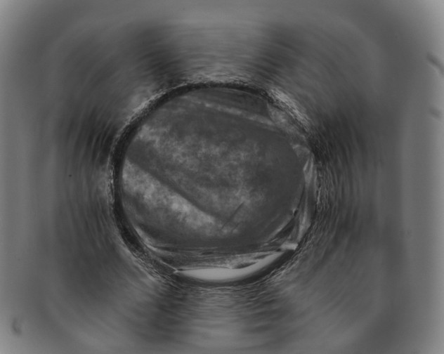 X0000091010680200708241512