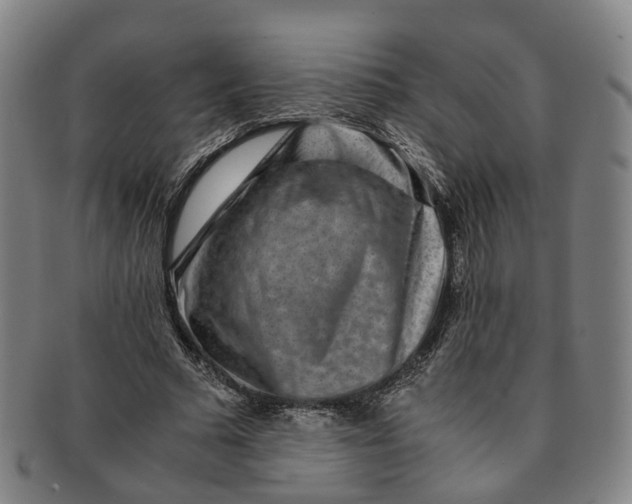 X0000091010681200708241512