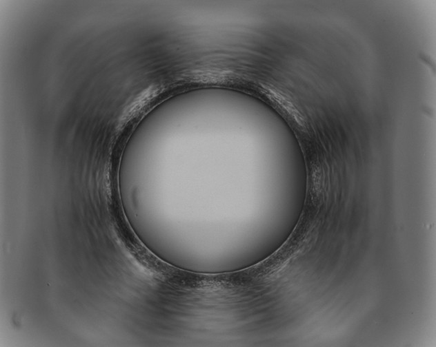 X0000091010682200708241512