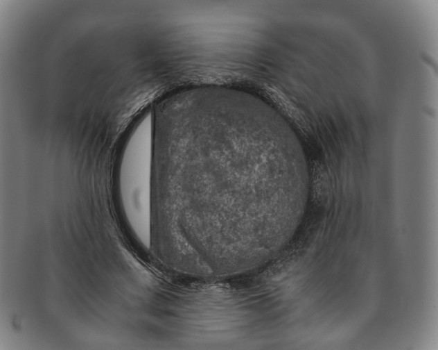 X0000091010683200708241512