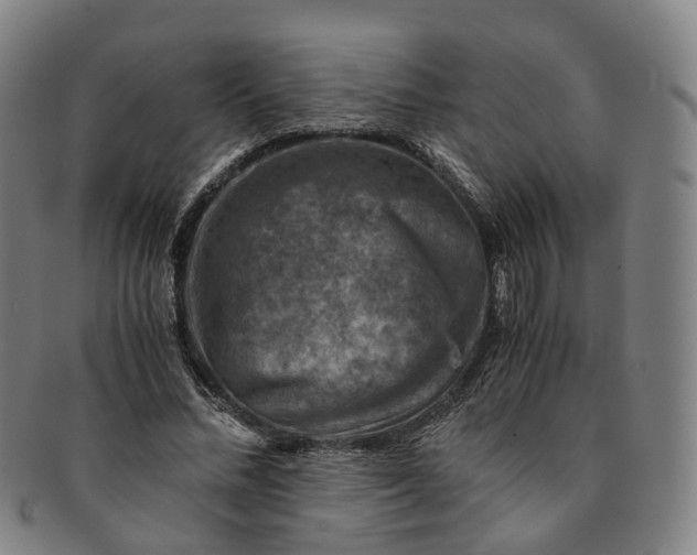 X0000091010684200708241512