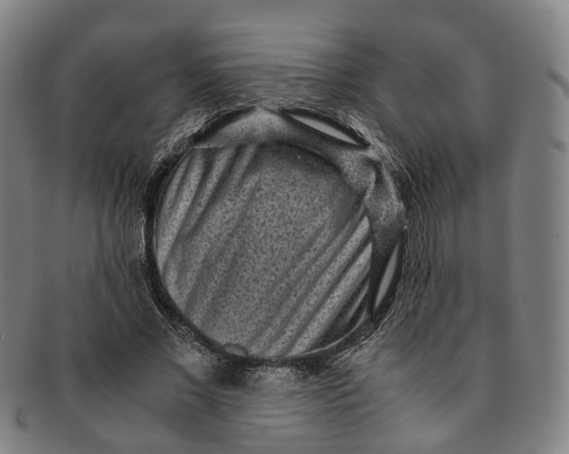 X0000091010685200708241512